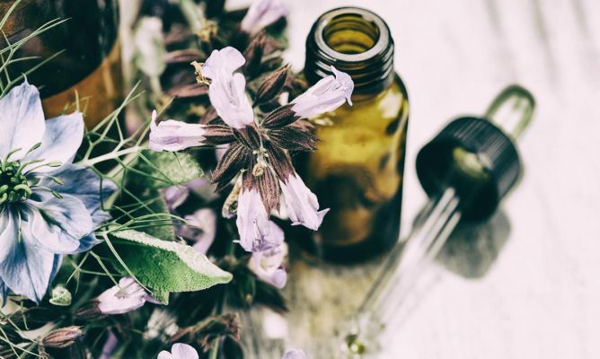 Cosmética natural: propiedades y beneficios